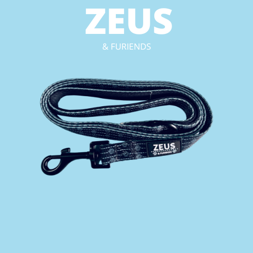 Boutique Matching Dog collar, Bow tie & Lead