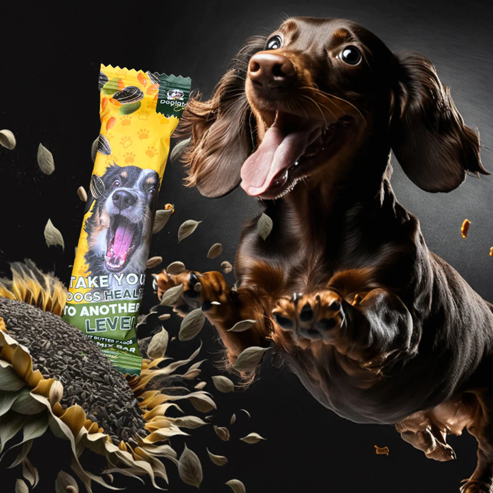dog treats seed flavour | dog food bars | pet treats