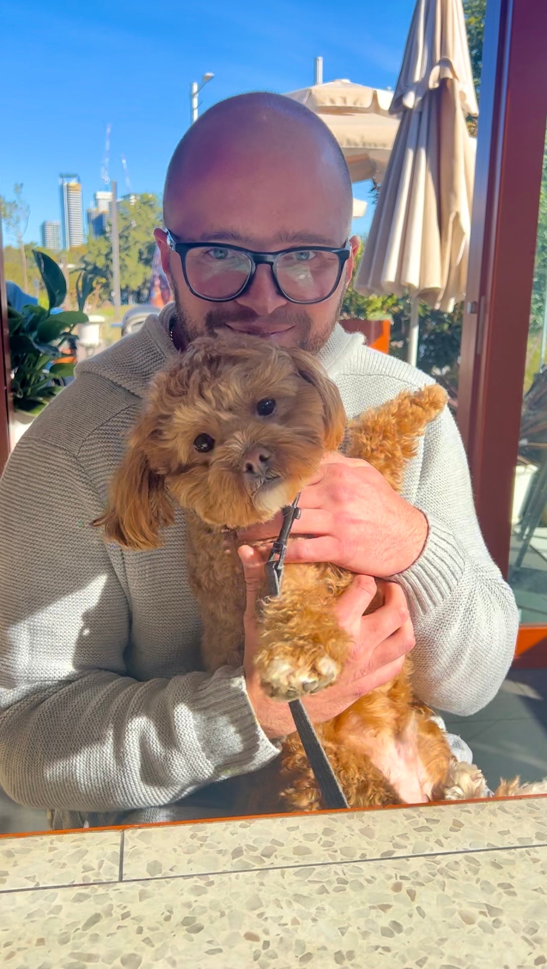 A Guide to Taking Your Puppy to Dog-Friendly Cafés: Tips for a Pawsitively Perfect Outing