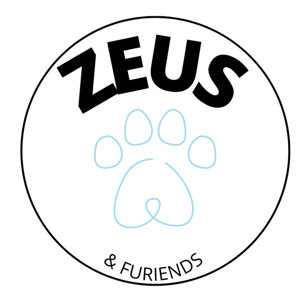 Zeus and Furiends