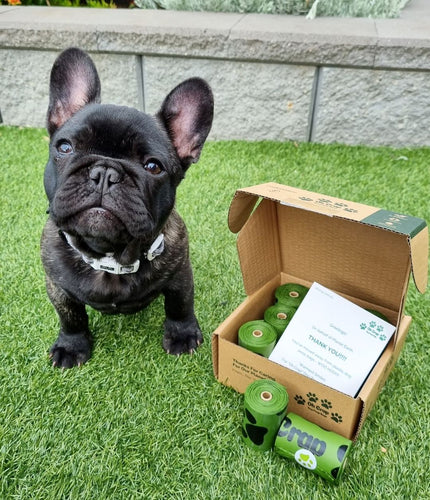 Merry Christmas set! Dog collars, dog treats & dog poo bags