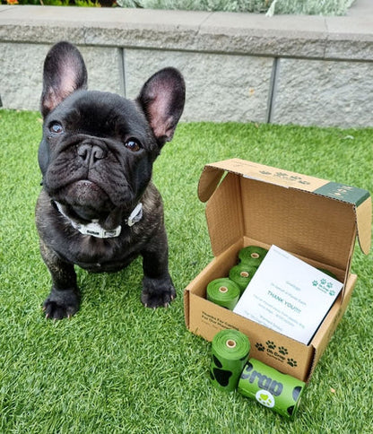 Merry Christmas set! Dog collars, dog treats & dog poo bags